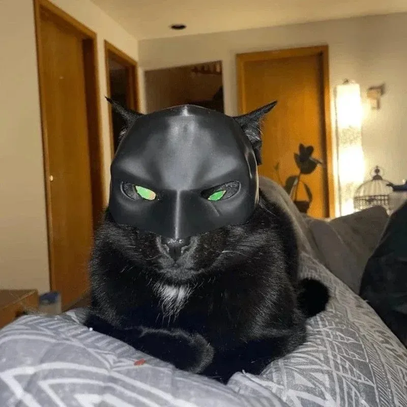 Cosplay Bat Prop - 3D Printed Cat Avenger Mask Bat