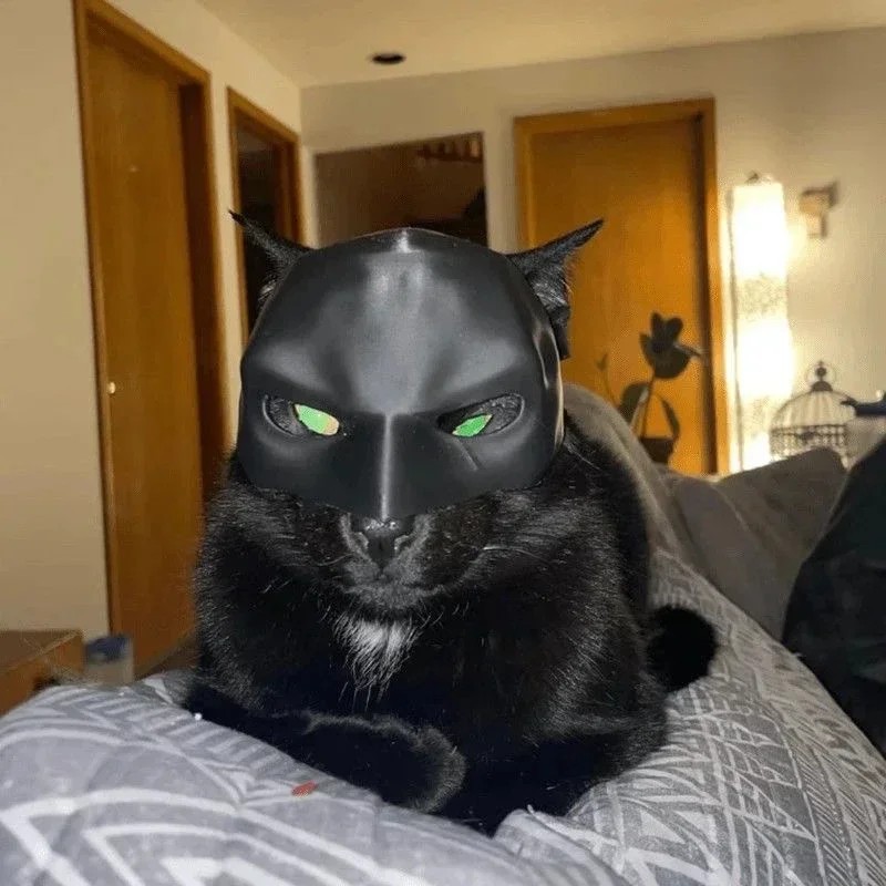 Top Quality 2026 New Cat Aveng - Cosplay Bat Prop avis et prix