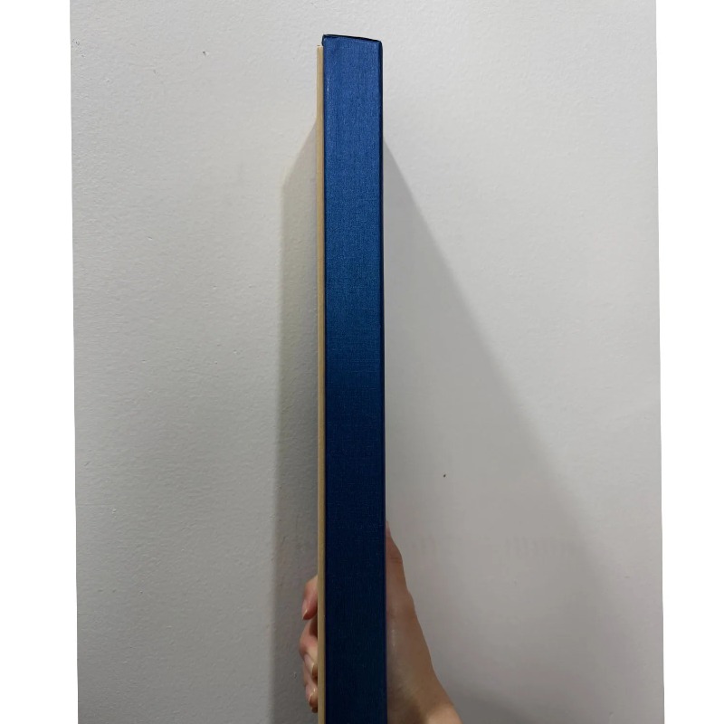 Electronic Fire Flasher Magic  - Cosplay Flame Prop avis et prix