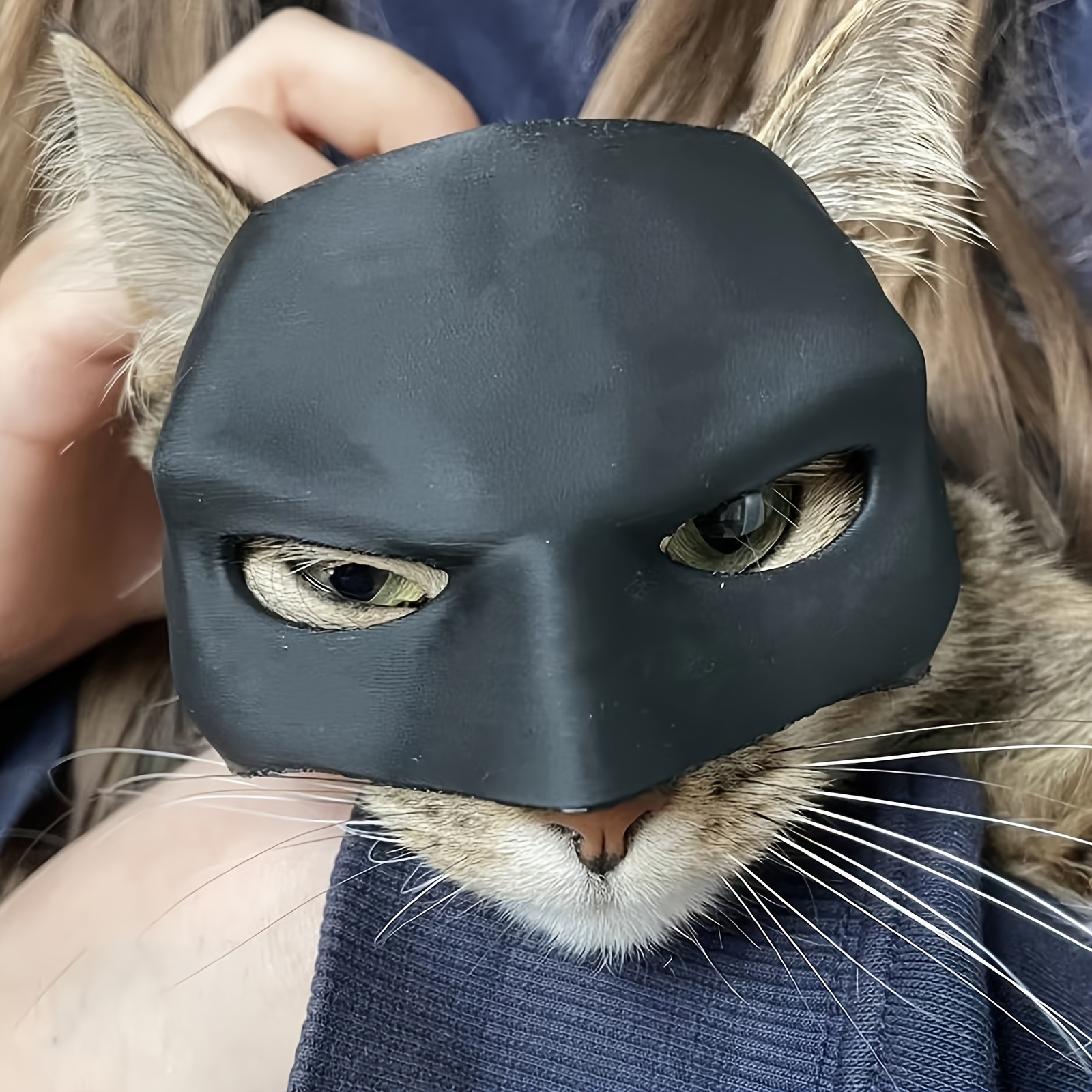 Funny Black Bat-Shaped Cat Hel - Cosplay Bat Prop avis et prix