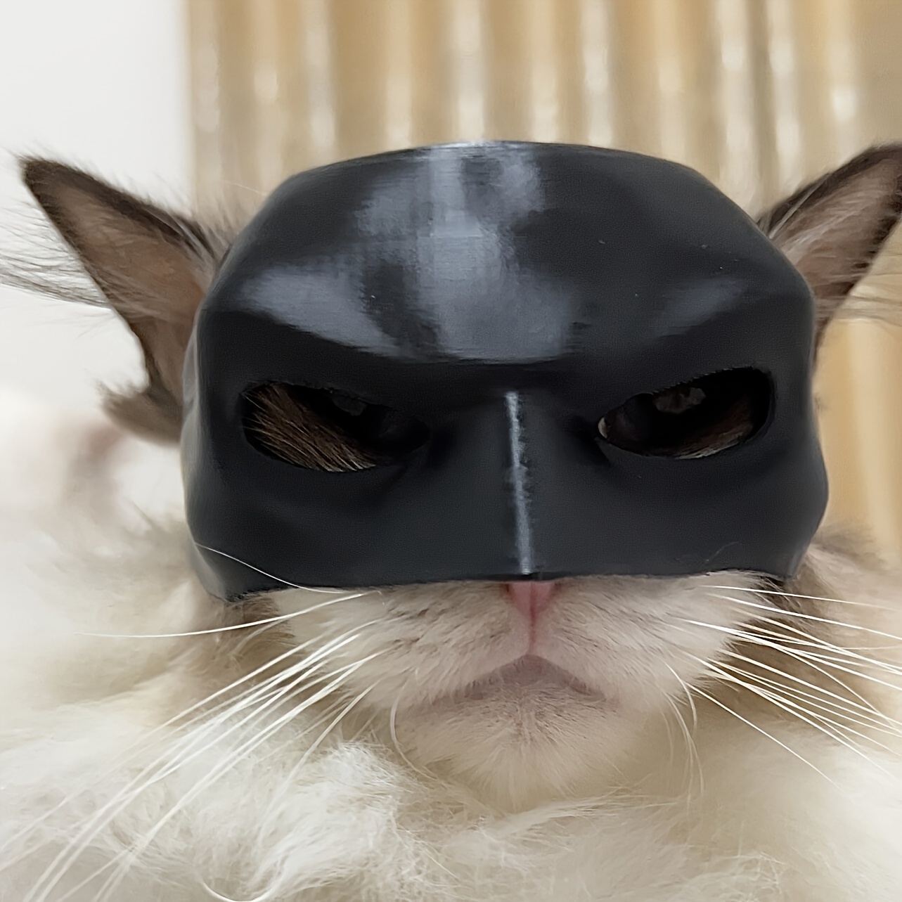 Funny Black Bat-Shaped Cat Hel - Cosplay Bat Prop avis et prix