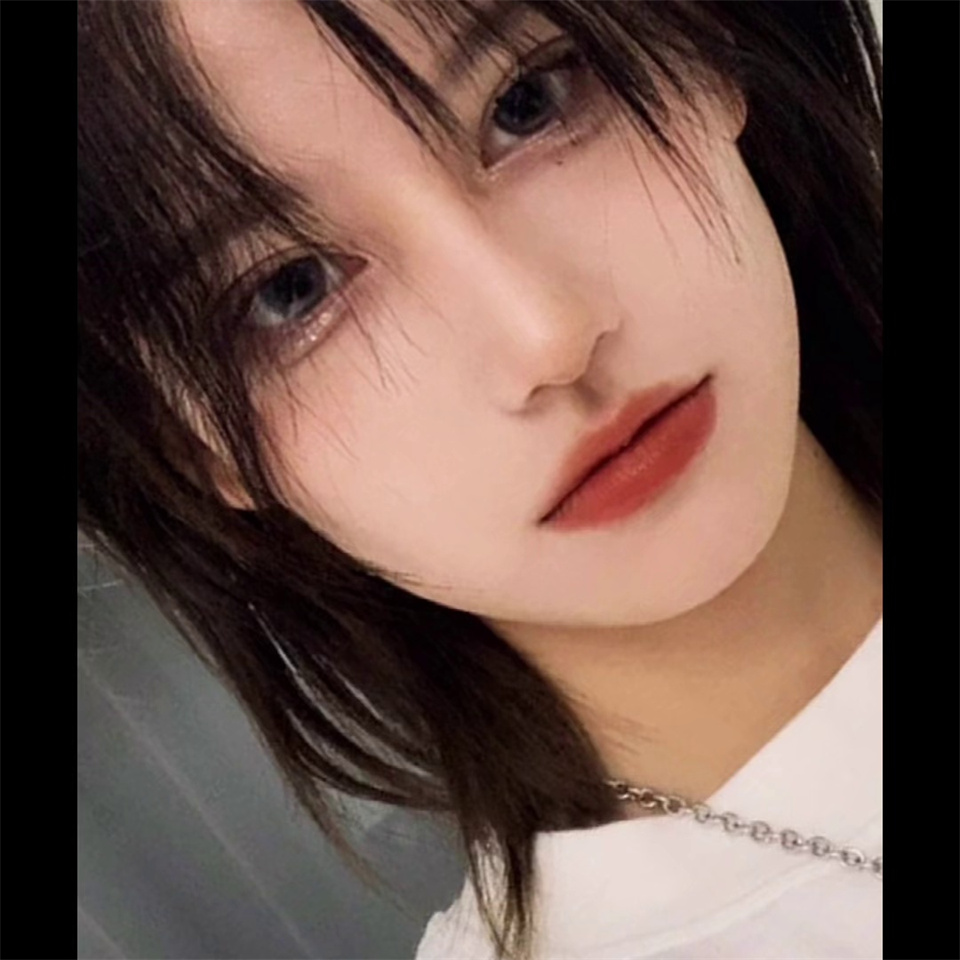 AS Synthetic Wig Female Short  - Wig Fiber Net avis et prix