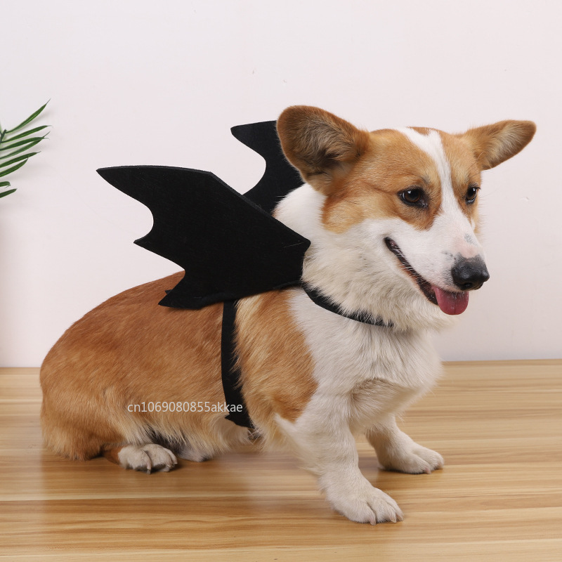 Halloween Bat Wings Dog Cat Cu - Cosplay Bat Prop avis et prix
