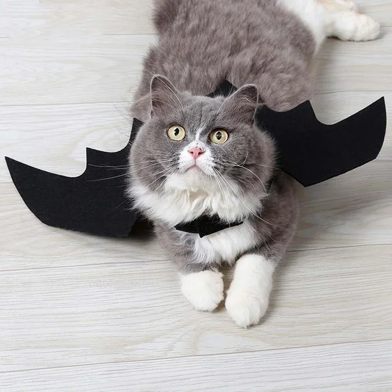 Halloween Bat Wings Dog Cat Cu - Cosplay Bat Prop avis et prix